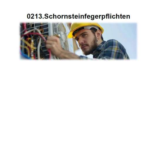 Schornsteinfegerpflichten- Leitfaden für Facility Manager