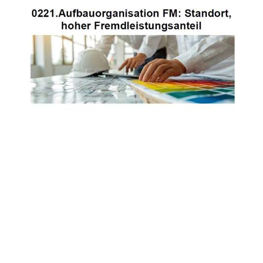 Aufbauorganisation des FM für einen singulären Industriestandort