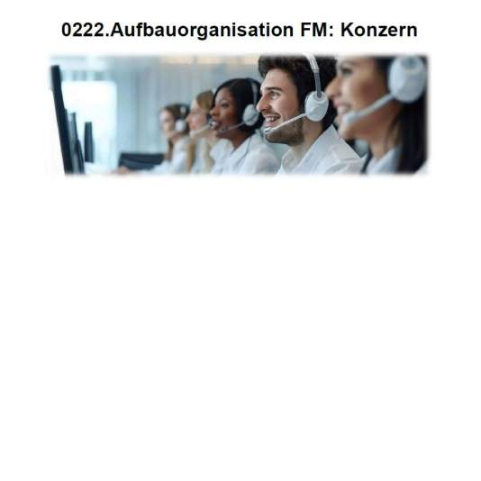 Aufbauorganisation FM: Konzern