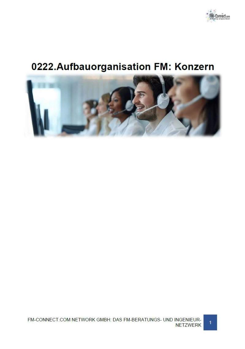 Aufbauorganisation FM: Konzern