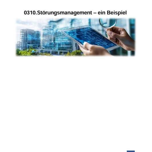 Störungsmanagement-Erläuterung